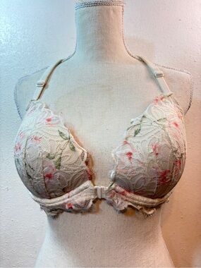 Victoria's Secret Ivory Lace Push-Up Bra with Pink & Green Floral Embroidery